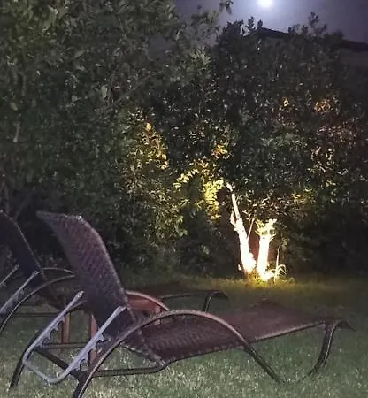 Aloe In