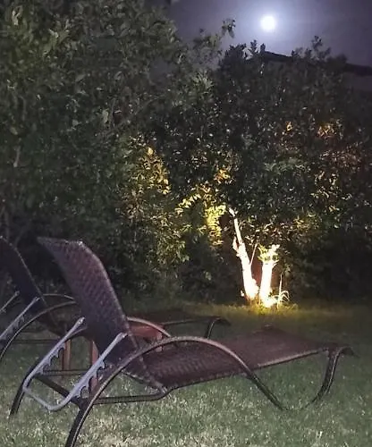 Aloe In