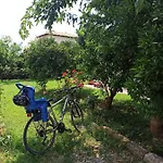 Aloe In Apartman Epidaurosz
