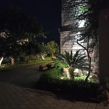 Aloe In Lägenhet Epidaurus