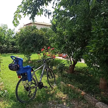 Aloe In Appartamento Epidaurus